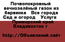 Почвопокровный, вечнозелёный газон из барвинка - Все города Сад и огород » Услуги   . Приморский край,Владивосток г.